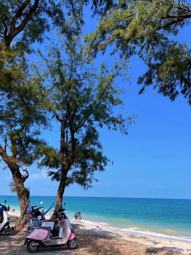 涠洲岛海边沙滩,树下停着游客的电动车,远处是碧海蓝天