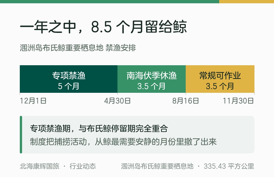 禁渔期时间轴:一年之中,8.5 个月留给鲸
