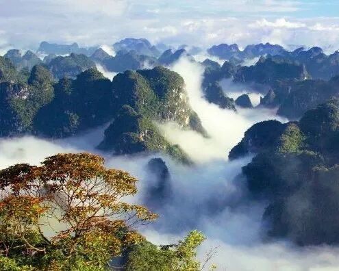 剑龙山云雾峰林