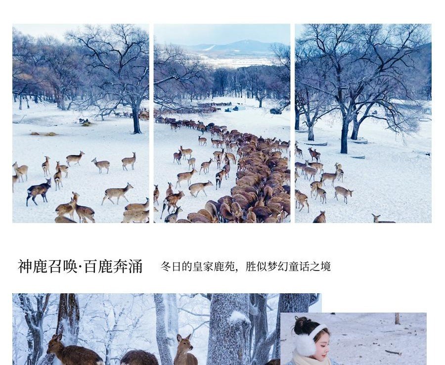 点击放大