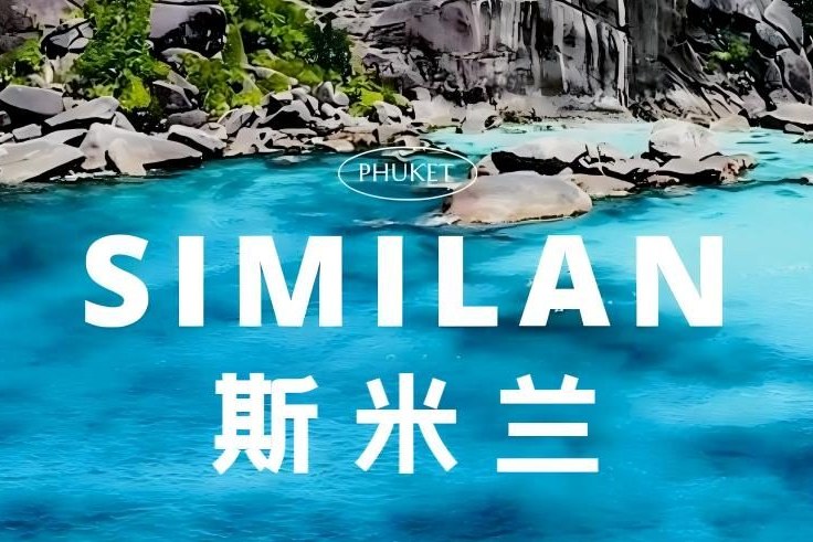点击放大