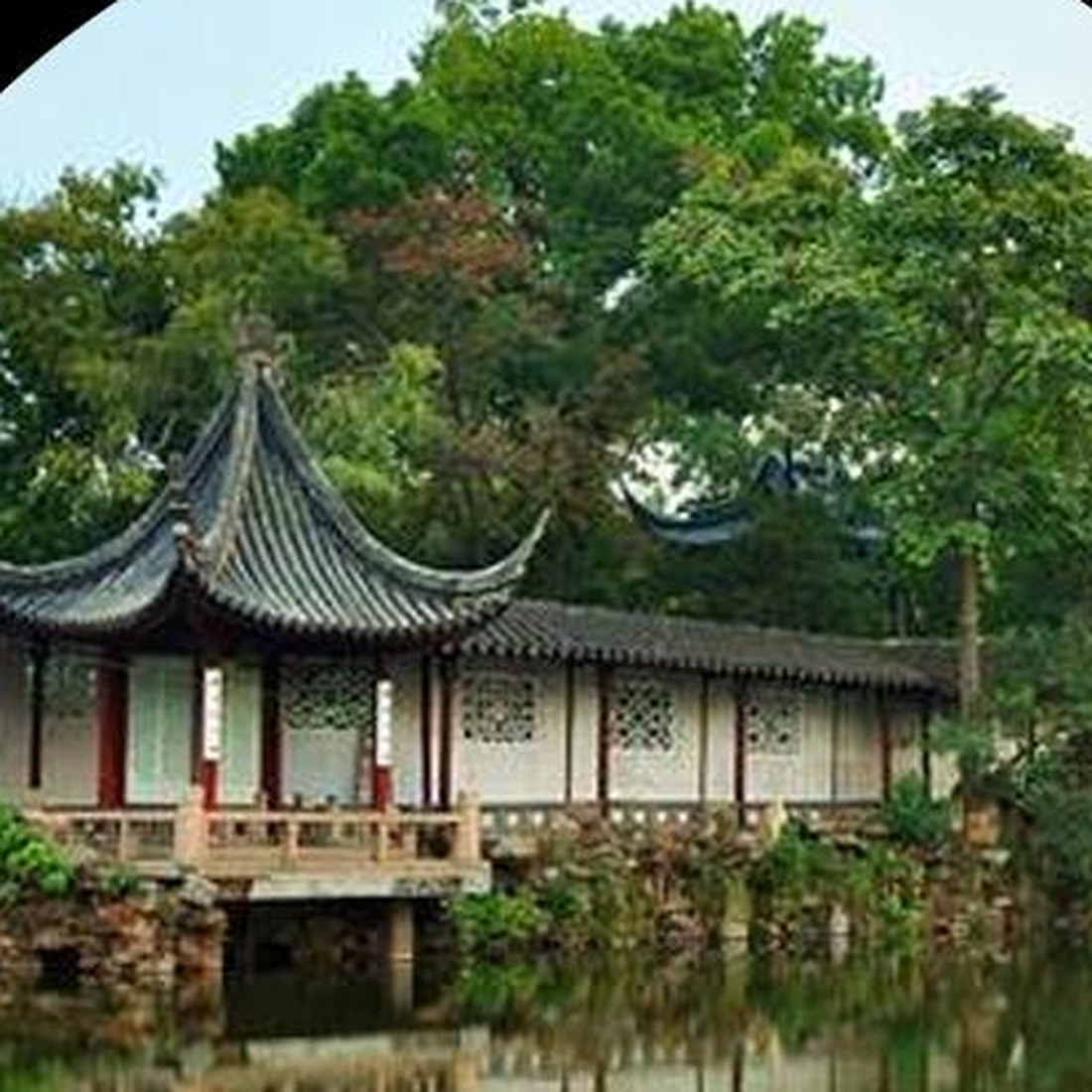 点击放大