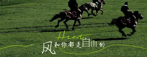 【南宁起止】新疆双飞8日游【天马牧歌】