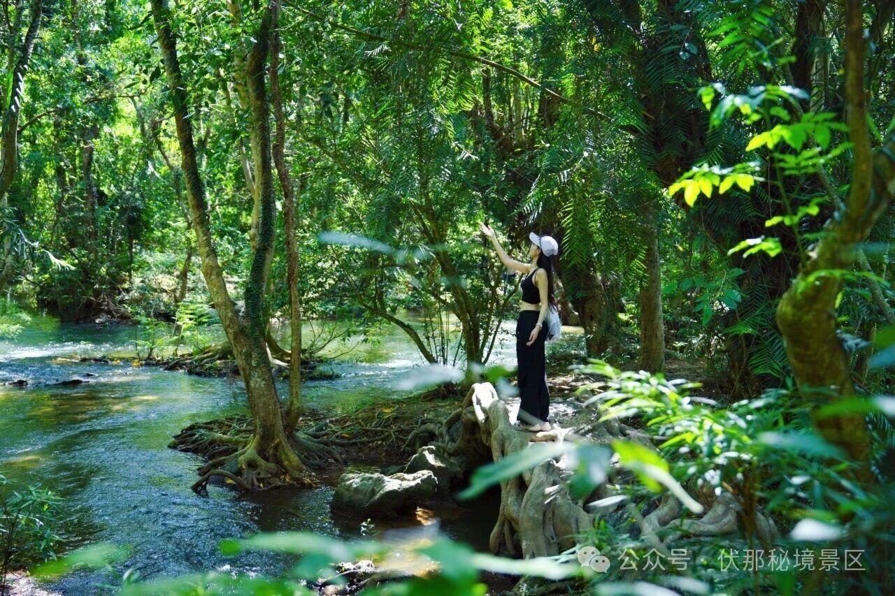 【南宁起止】水上光影·伏那秘境1日游