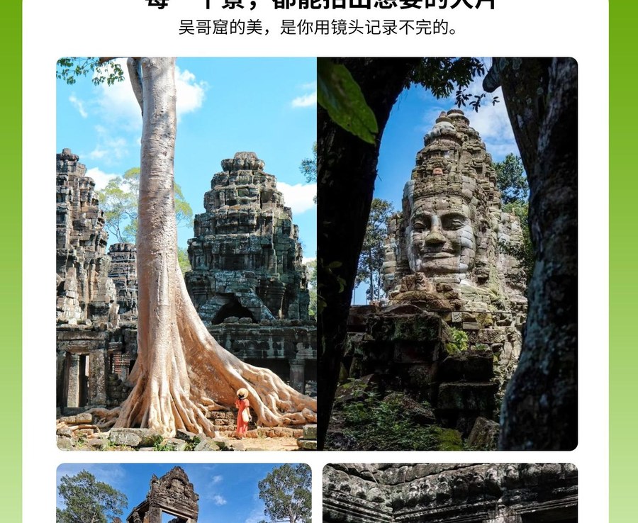 点击放大